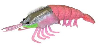 foto Kor�� (Euphausia superba)